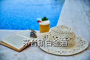 茅臺鎮白金酒