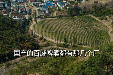 國產的百威啤酒都有那幾個廠