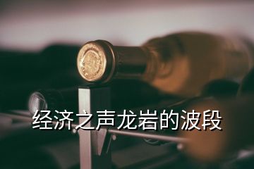 經濟之聲龍巖的波段