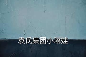 袁氏集團小琳娃
