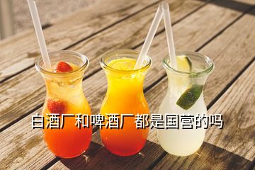白酒廠和啤酒廠都是國(guó)營(yíng)的嗎
