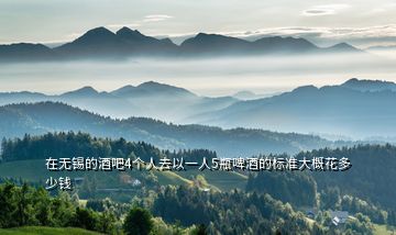 在無錫的酒吧4個人去以一人5瓶啤酒的標準大概花多少錢
