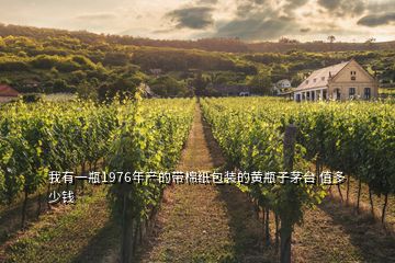 我有一瓶1976年產的帶棉紙包裝的黃瓶子茅臺 值多少錢