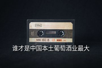 誰才是中國本土葡萄酒業最大