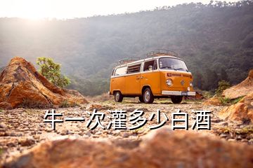 牛一次灌多少白酒