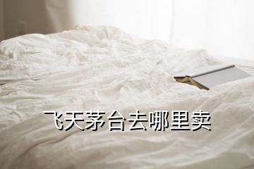 飛天茅臺去哪里賣