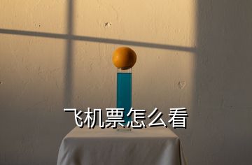 飛機票怎么看