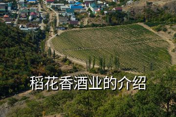 稻花香酒業的介紹