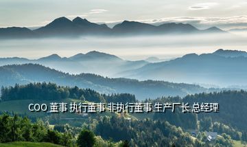 COO 董事 執行董事 非執行董事 生產廠長 總經理