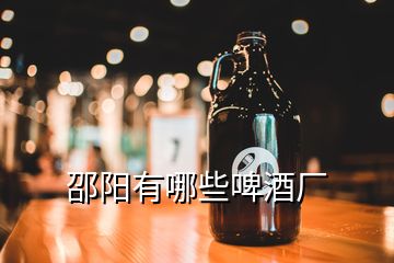 邵陽有哪些啤酒廠