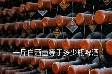 一斤白酒量等于多少瓶啤酒