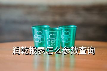 潤乾報表怎么參數查詢