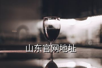 山東官網地址