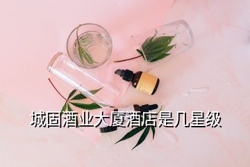 城固酒業大廈酒店是幾星級