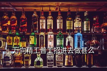 萬(wàn)向精工普工招進(jìn)去做甚么