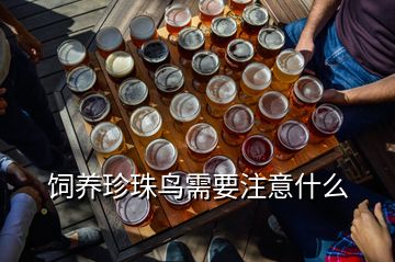 飼養(yǎng)珍珠鳥需要注意什么