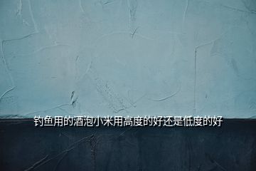 釣魚用的酒泡小米用高度的好還是低度的好