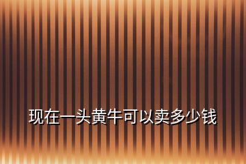 現在一頭黃牛可以賣多少錢