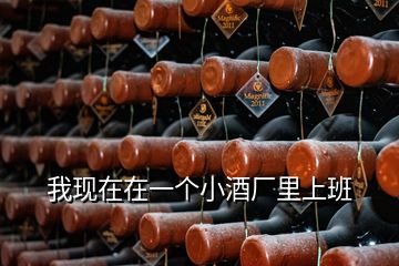 我現在在一個小酒廠里上班