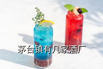 茅臺鎮有幾家酒廠