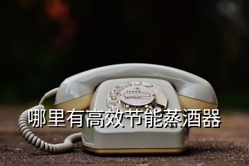 哪里有高效節能蒸酒器