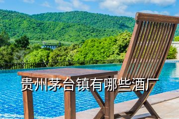 貴州茅臺鎮有哪些酒廠