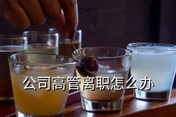 公司高管離職怎么辦