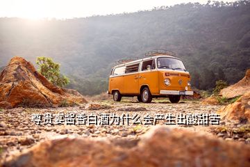 尊貴宴醬香白酒為什么會產生出酸甜苦