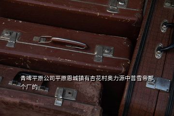 青啤平原公司平原恩城鎮有杏花村奧力源中普雪帝那個廠的