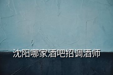沈陽哪家酒吧招調酒師