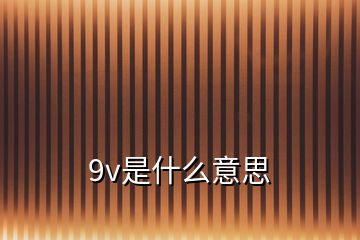 9v是什么意思