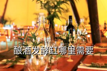 釀酒發酵缸哪里需要