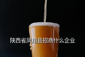 陜西省鳳翔縣招商什么企業