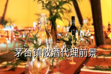 茅臺鎮(zhèn)散酒代理前景