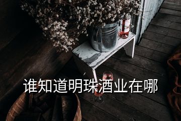 誰知道明珠酒業在哪