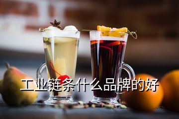 工業鏈條什么品牌的好