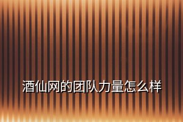 酒仙網的團隊力量怎么樣