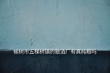 榆樹市五棵樹鎮的散酒廠有真純糧嗎