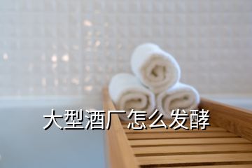 大型酒廠怎么發酵