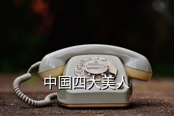 中國四大美人
