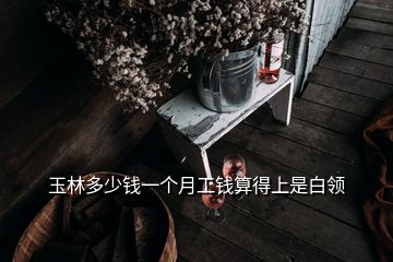 玉林多少錢一個月工錢算得上是白領