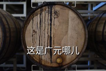 這是廣元哪兒