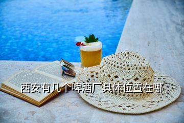 西安有幾個啤酒廠具體位置在哪