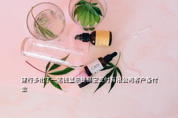 建行多出了一筆錢顯示是易寶支付有限公司客戶備付金