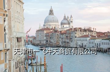天津市一飛沖天商貿有限公司