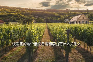 快發售的這個惟飲者酒和李白有什么關系么