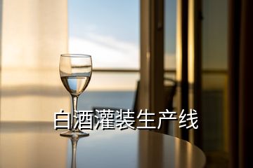 白酒灌裝生產線