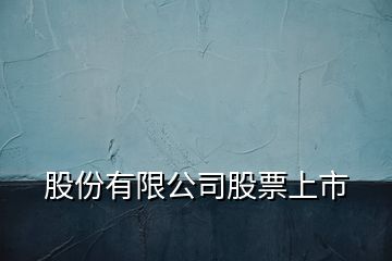 股份有限公司股票上市