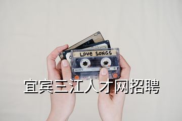 宜賓三江人才網招聘