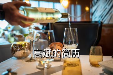 高斌的簡歷
